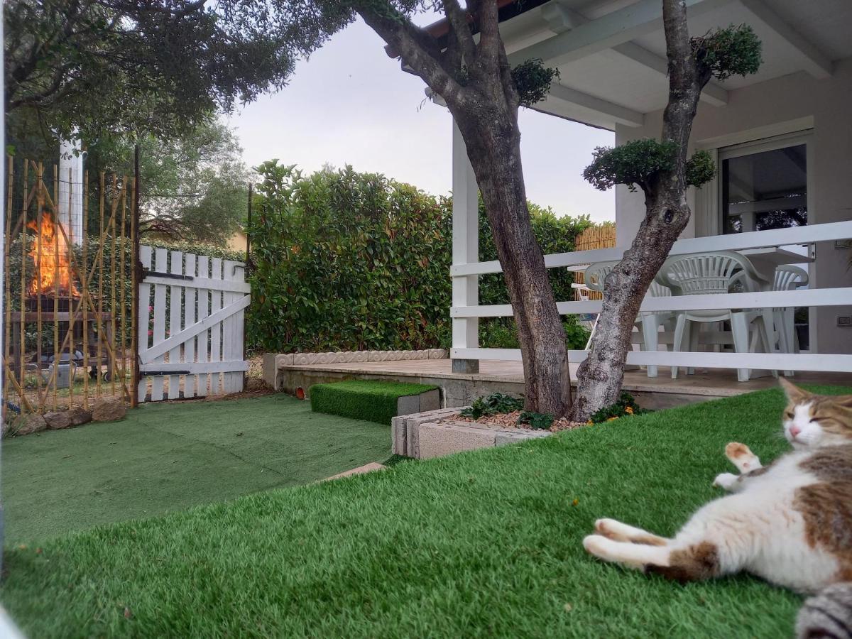 Villa Infinitysarda à Telti Extérieur photo